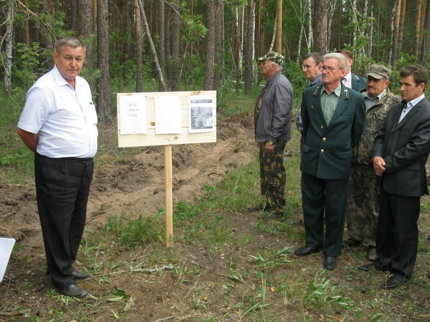 В Ульяновской области возобновились семинары для лесопользователей, фото-1