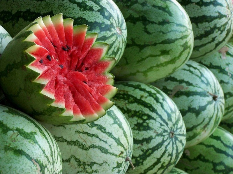 watermelon04 (2)