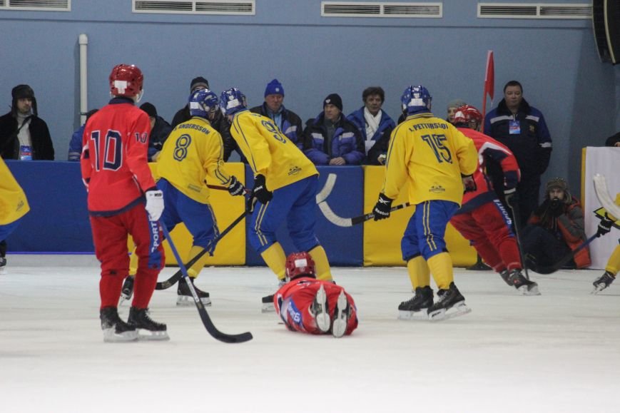Российская команда проиграла шведской на мировом хоккейном чемпионате, фото-13