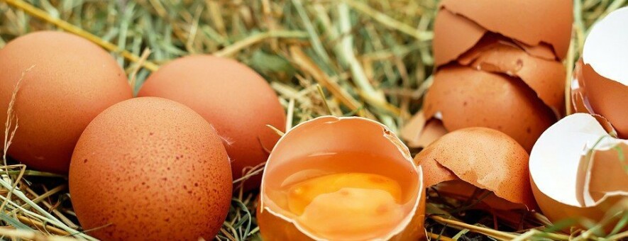 73 тысячи яиц купили на ярмарке ульяновцы 