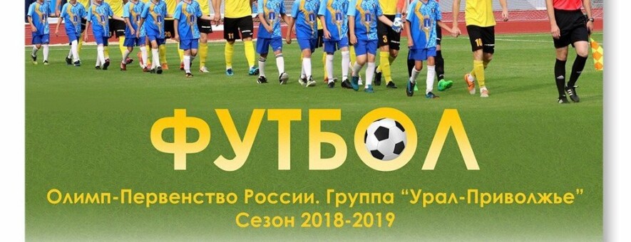 Заключительный домашний матч в 2018 году проведёт сегодня ульяновская «Волга» 