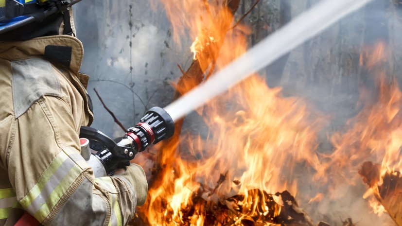 Высокая пожарная опасность сохраняется на территории Ульяновской области, фото-1