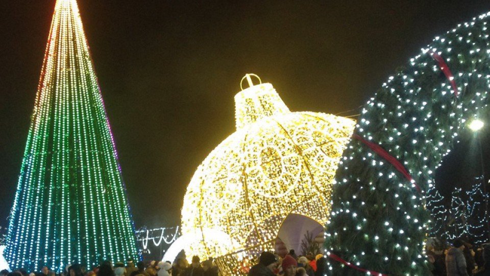 Новогоднюю елку установили на Соборной площади в Ульяновске, фото-1