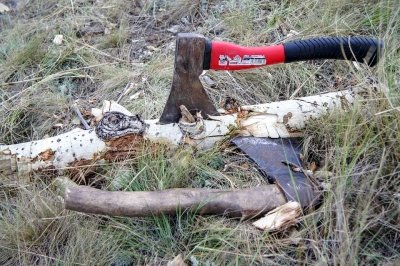 В Ульяновской области дерево упало на мужчину, фото-1