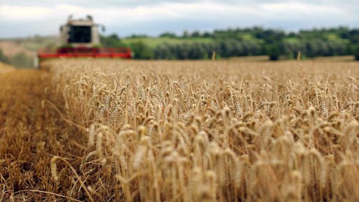 Один миллион тонн зерна намолотили аграрии Ульяновской области, фото-1