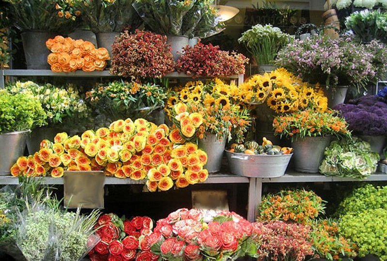 Торговлю цветами в центре Ульяновска перенесут в новый павильон, фото-1