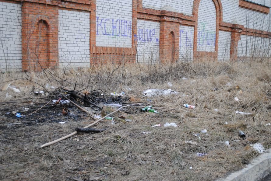 Ульяновск - мусорная столица?, фото-1
