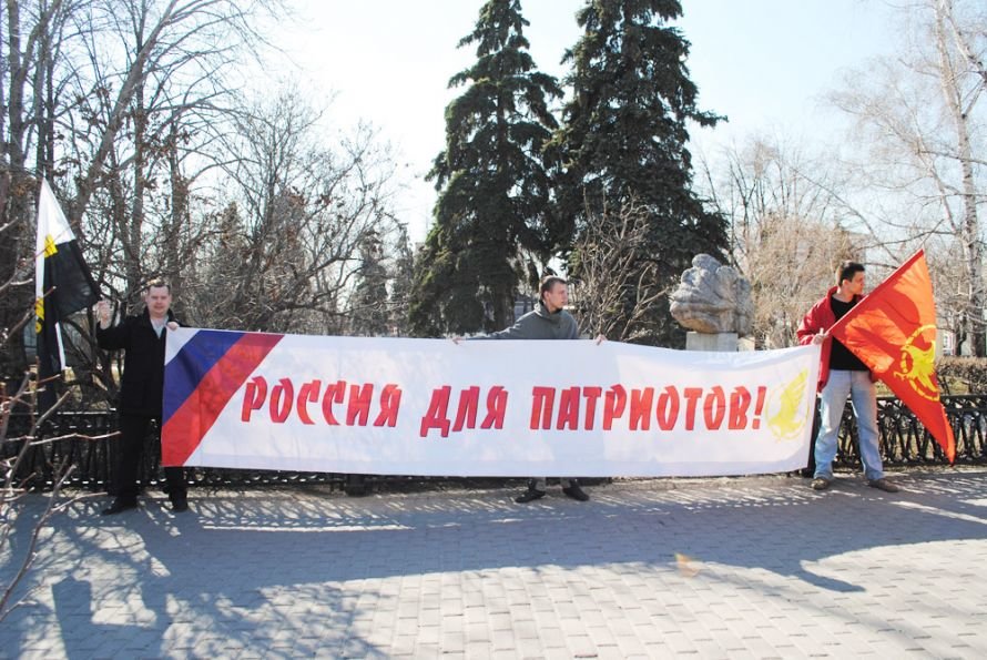 Пикет «Россия для патриотов» прошёл в Ульяновске, фото-1