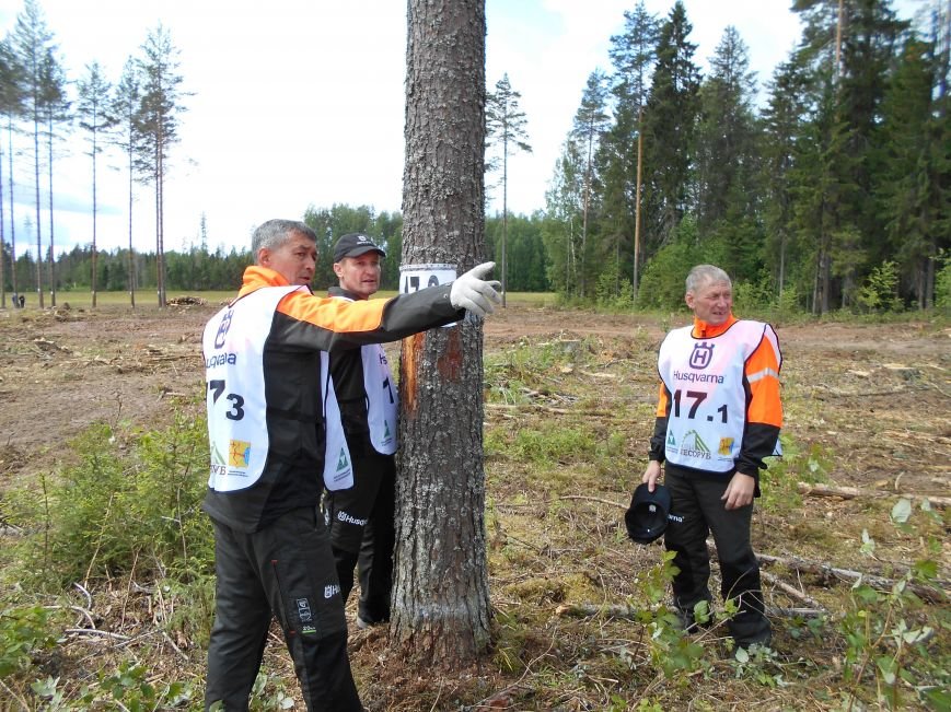 Лесорубы из Ульяновской области приняли участие в чемпионате России, фото-2