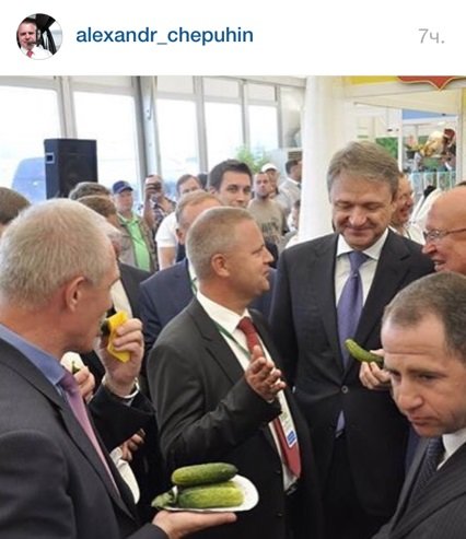 Ульяновские огурчики покорили федерального министра сельского хозяйства. Фото (фото) - фото 1