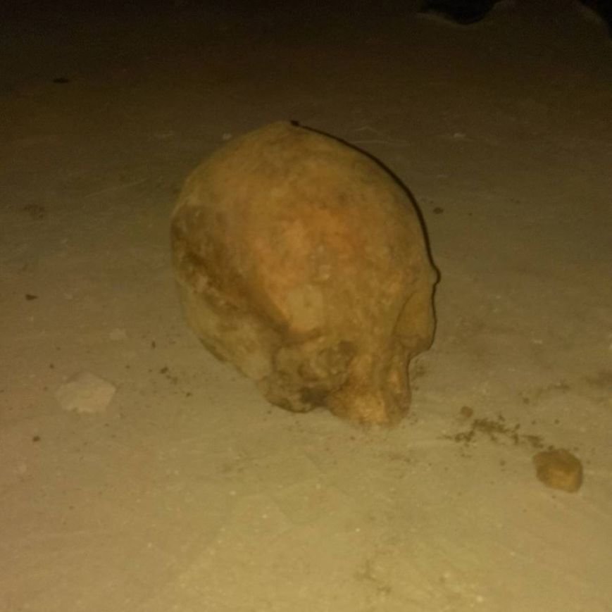 На стройке в Ульяновске найдены человеческие кости (фото) - фото 3