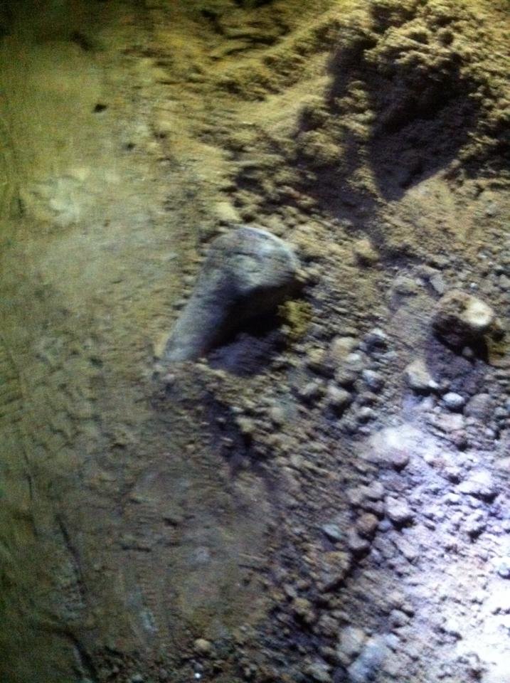 На стройке в Ульяновске найдены человеческие кости (фото) - фото 2