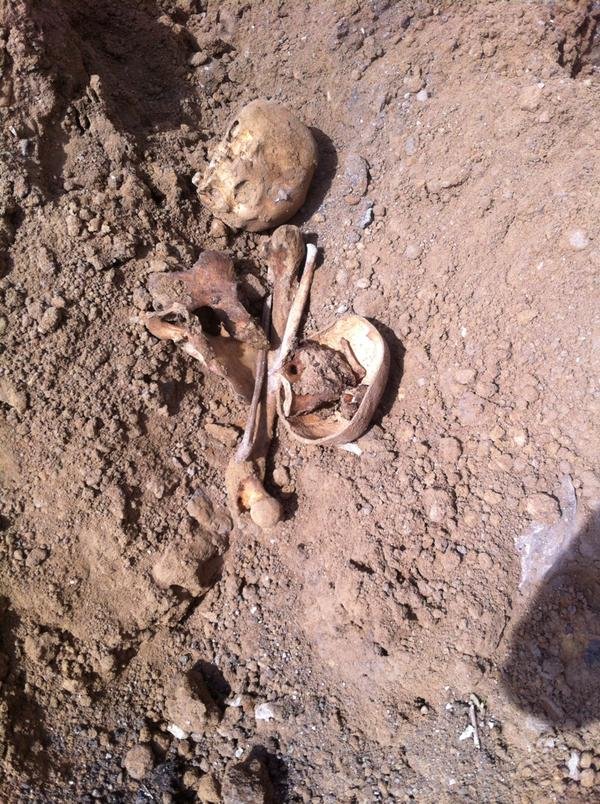 На стройке в Ульяновске найдены человеческие кости (фото) - фото 5