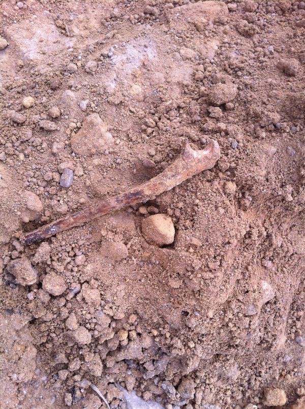 На стройке в Ульяновске найдены человеческие кости (фото) - фото 4