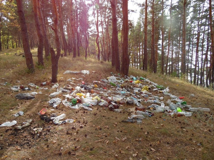 Леса Ульяновска полны неприятными сюрпризами (фото), фото-7