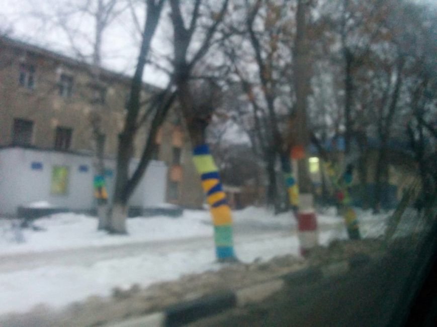 Ульяновские ярнбомберы утепляют деревья шарфами и гетрами, фото-5