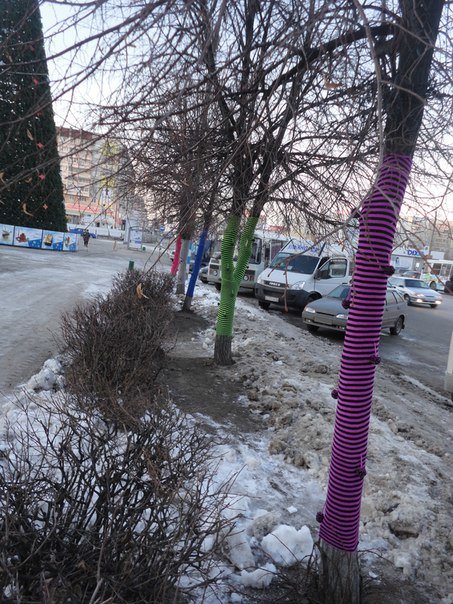 Ульяновские ярнбомберы утепляют деревья шарфами и гетрами, фото-2