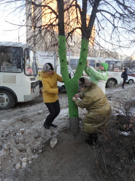 Ульяновские ярнбомберы утепляют деревья шарфами и гетрами (фото) - фото 1