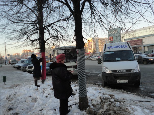 Ульяновские ярнбомберы утепляют деревья шарфами и гетрами, фото-1