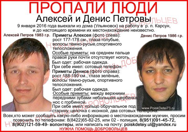 Пропавших в Ульяновской области братьев будет искать детектив, фото-1