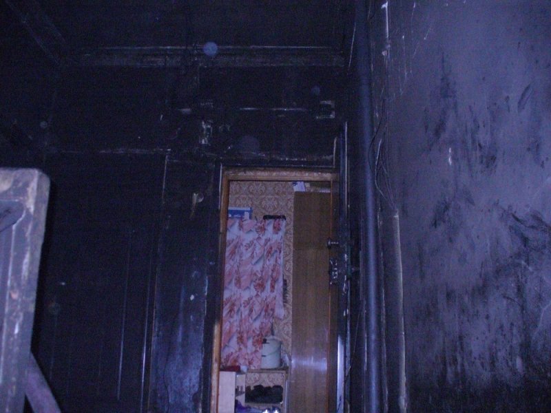 В Ульяновске неизвестные подожгли дом. ФОТО, фото-1
