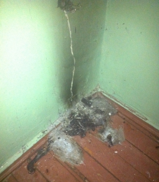 Ульяновцы сами потушили пожар в доме, фото-1