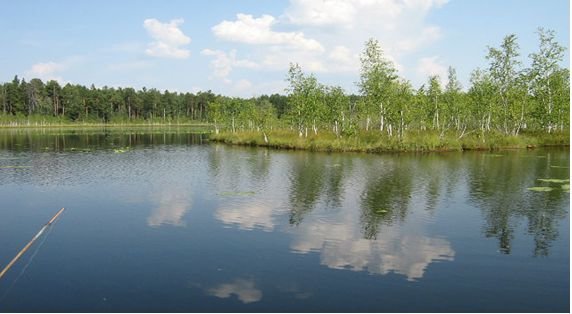 Ульяновскому Поганому озеру исполнилось 40 лет (фото) - фото 1