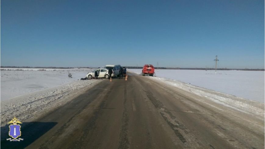 В Ульяновской области в очередной  аварии с маршруткой погибли 4 человека (фото) - фото 1