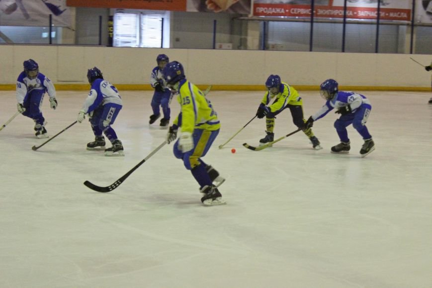 В Ульяновске прошёл турнир среди юных хоккеистов, фото-1
