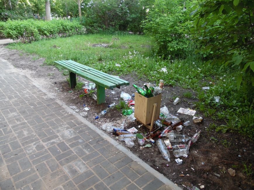 Выкорчеванные кусты и мусор: как обновляется Аллея ветеранов. Фото, фото-2