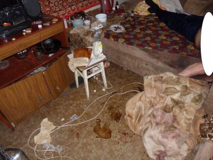 Жительница Ульяновска убила хозяина съемной квартиры. ФОТО, фото-1