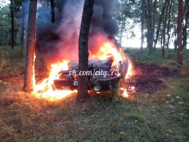 В Ульяновске сгорел автомобиль. ФОТО, фото-1