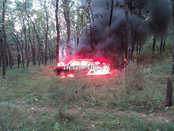 В Ульяновске сгорел автомобиль. ФОТО, фото-2