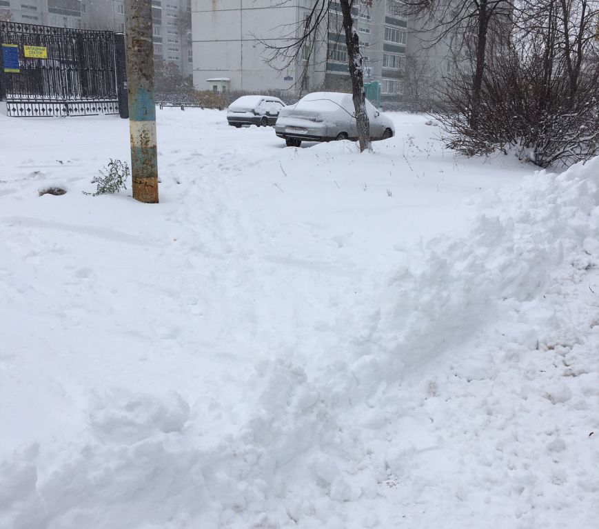 Ульяновские чиновники отмазались за нечищенные дороги, фото-3