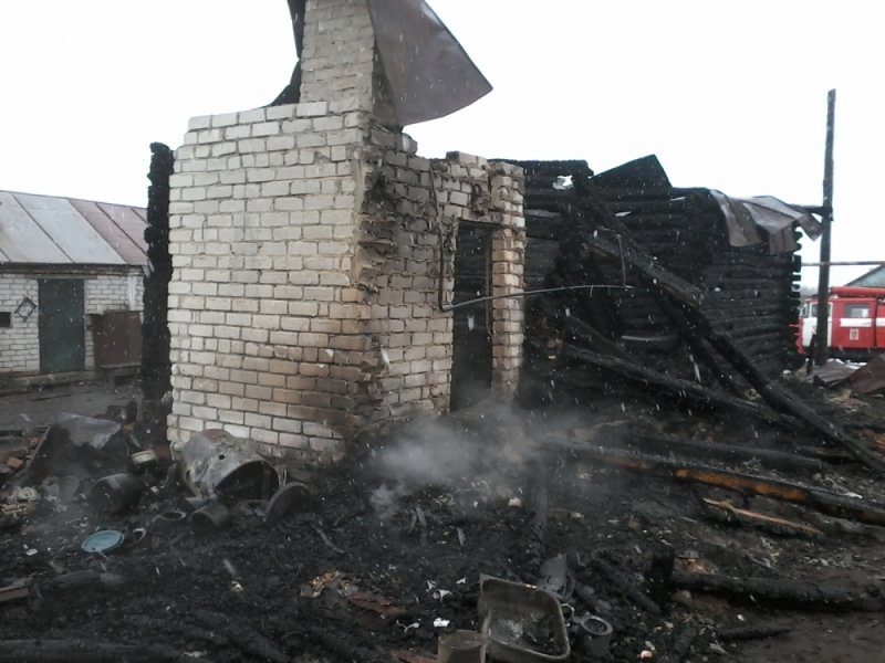 В Ульяновской области старушка сгорела вместе со своим домом. ФОТО, фото-3