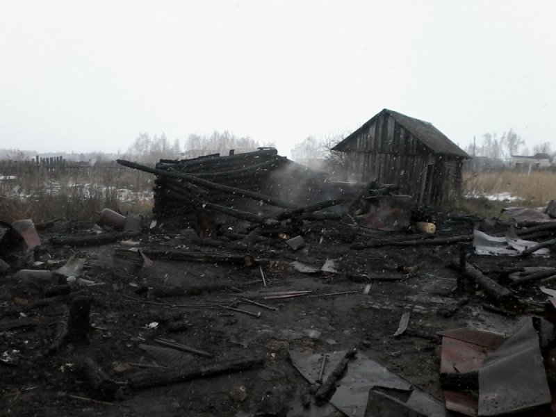 В Ульяновской области старушка сгорела вместе со своим домом. ФОТО, фото-2