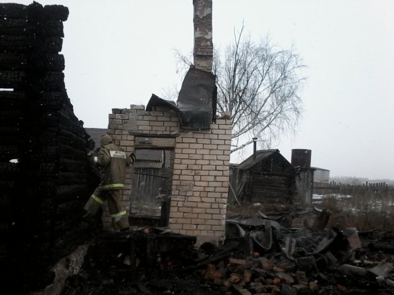 В Ульяновской области старушка сгорела вместе со своим домом. ФОТО, фото-1