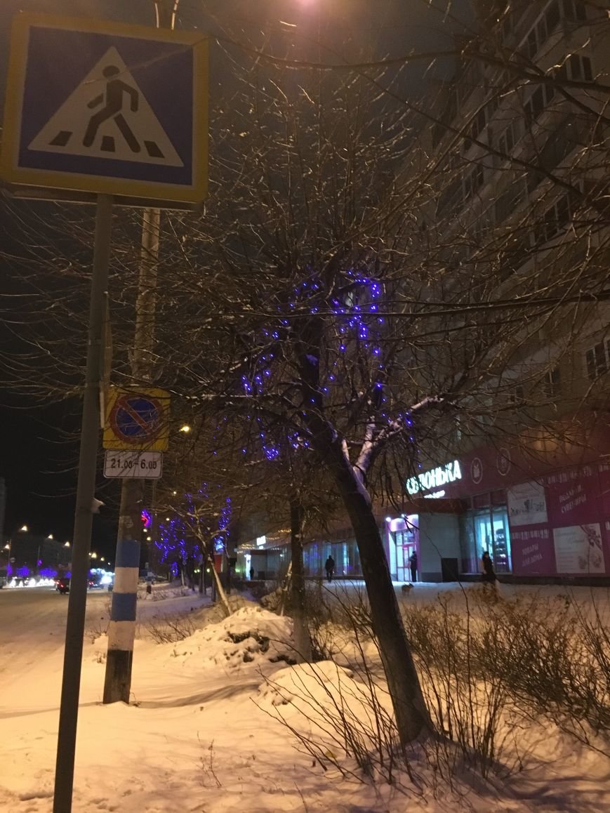 Как Ульяновск готовится к встрече Нового года, фото-2