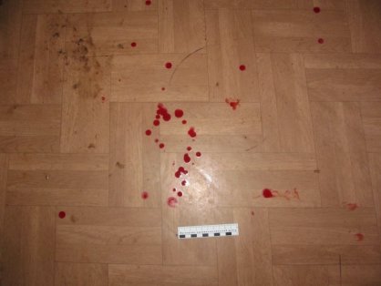 18-летний ульяновец зарубил отца топором. ФОТО, фото-1