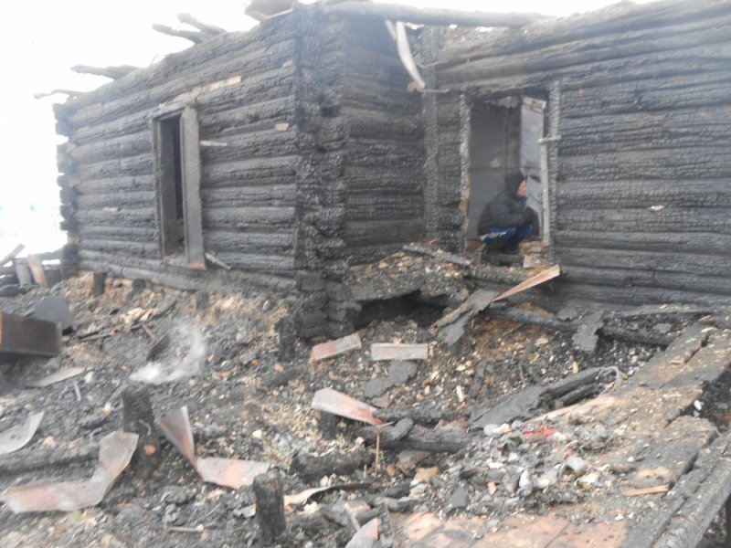 Ночью под Ульяновском полностью сгорел дом. ФОТО, фото-2