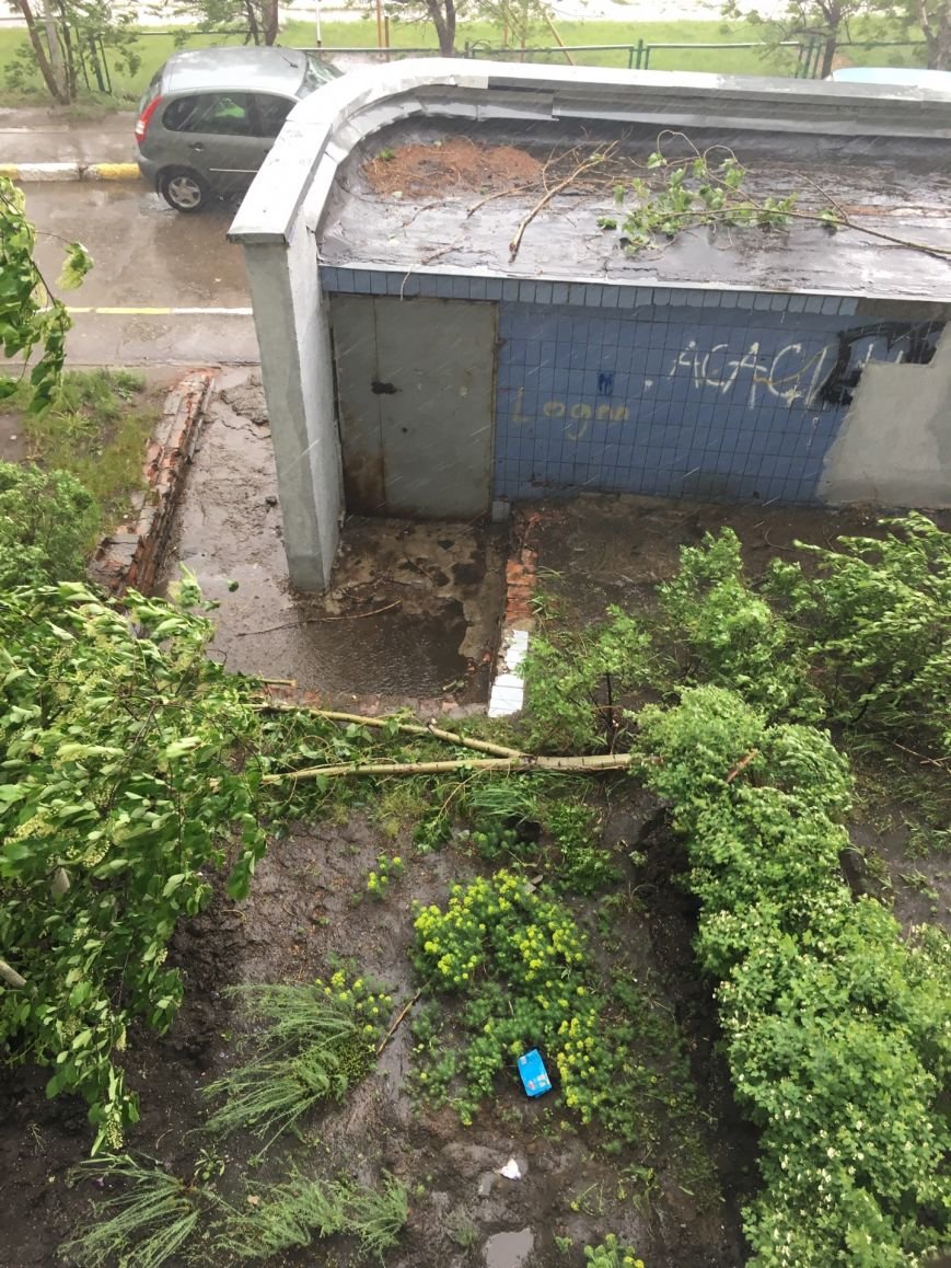 Ураган наломал дров в Ульяновске. ФОТО, фото-4