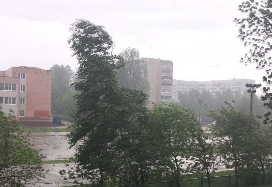 Ураган наломал дров в Ульяновске. ФОТО, фото-1